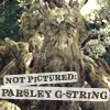 grey_gazania: the lord of the rings' treebeard with text: not pictured - parsley g-string (five cents off all creamed corn)