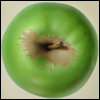 loligo: a green apple (apple)