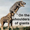 zeborah: On the shoulders of giants: zebra on a giraffe (science)