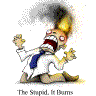 rantingnerd: The Stupid, it Burns (stupiditburns)