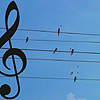 inchainz: (musical birds on a wire)