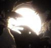 moonbathe_skin: (Default)