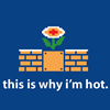 erika: (games: why i'm hot)
