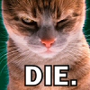 kateshort: (die)