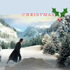 selenay: (Christmas Doctor Who 1)