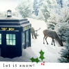 selenay: (Christmas Doctor Who 4 (snow))