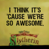 musyc: Slytherin, text only: I think it's 'cause we're so awesome (Slytherin: Cause we're awesome)