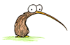 dakiwiboid: A skinny, pop-eyed cartoon kiwi.  Very cute.  (Default)