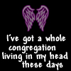 laurenthemself: A pair of purple wings above the words 'I've got a whole congregation living in my head these days'. (Shaendaena: Congregation.)