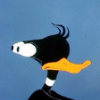 suchprettywords: (Daffy)