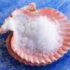 letthechangecome: ([Tools] Seashell full of salt)