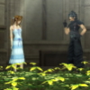 floweroftheslums: (Zack: My flowers....)