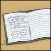 naye: (notebook by kurt halsey)