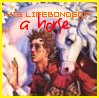 vass: Lavan Firestorm embracing his Companion, caption: "His lifebonded?  A horse." (Horse)