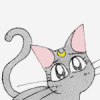 lunarmeow: (= soulful stare. you want to feed me.)