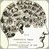 brainwaves: (Phrenology)