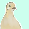 carrierdove: (Default)
