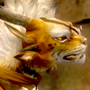 encharrneered: (neutral > an oath I've sworn to defend)