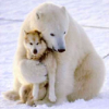 faustaufsaug: (bear hug)