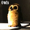 owlboy: (Owls - SJ Owl by Elisi)