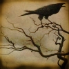 nightmachinery: A crow in a twisted, leafless tree, cawing against a clouded amber sky. (Gen - Cawing Crow)