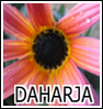 ext_39552: created by daharja from own photo (Default)