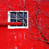 meloukhia: A red barn and single multipaned window with a leafless tree next to it. (Red barn)