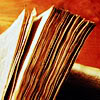 meloukhia: The edge of a book, pages rumpled with time (Book edge)