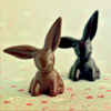 meloukhia: Two chocolate bunnies (Chocolate bunnies)
