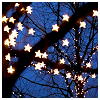 meloukhia: Branches of a tree, wound with lights shaped like stars (Starry branches)