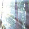 sunshinehistory: (Oto)