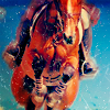 lorax: Jumper (Misc: Horse Jumper)