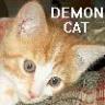 grumpymagrat: (Demon Cat)