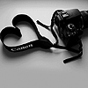 shutterbugs: (Canon Love)