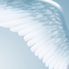 notsoheavenly: ([Wings] 01)