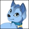 chromia: (Puppy)