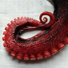 beachlass: red curled tentacle (tentacle)