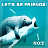heathershaped: (hug a shark)