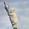 genprompt_bingo: A Picture of Kitten Kong, from the Goodies, knocking over the Post Office Tower (Default)