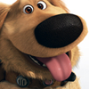 dug: (1)