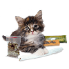 groovesinorbit: stoner kitty (stoner kitty)
