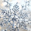 ext_1603680: (snowflake)