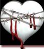 smilingslightly: Barbed wire wrapped around a white, bleeding heart. (barbed_heart)