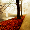 hilarytamar: trees with fallen red leaves beside a path and a stone bridge in the background (posts--a bridge by trees and the river)