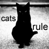 king_touchy: Black cat with text: cats rule (cat)
