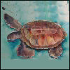 wordweaverlynn: (turtle)