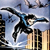 ane: leaping nightwing (nightwingleap)