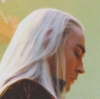 elf_king: (So that's what ants look like.)