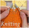 evilawyer: (orangeknitting)
