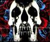 gigerisgod: deftones skull n' roses (Default)